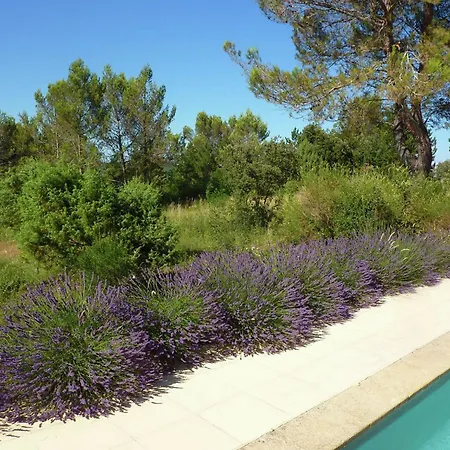 Villa Forest & Pool *