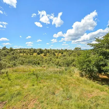 Forest & Pool Villa Saint-Siffret