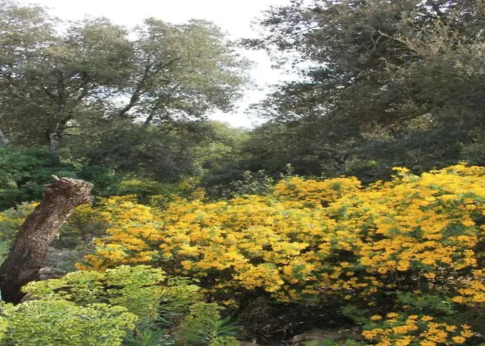 Βίλα In With Private Pool *